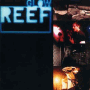 reef_glow